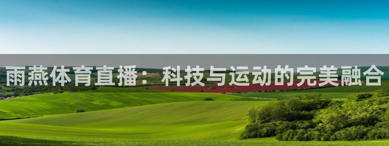 雨燕体育直播：科技与运动的完美融合
