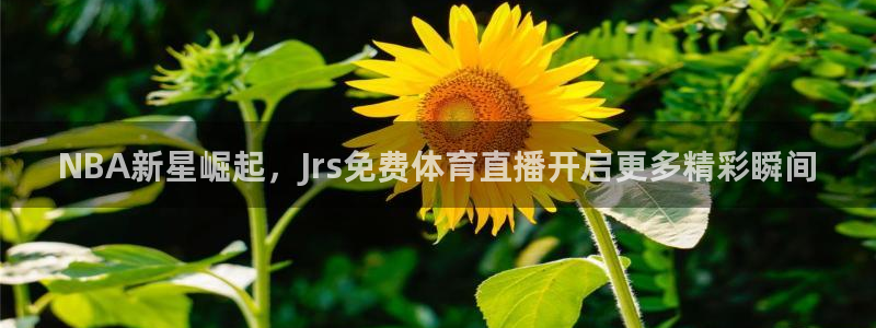 NBA新星崛起，Jrs免费体育直播开启更多精彩瞬间