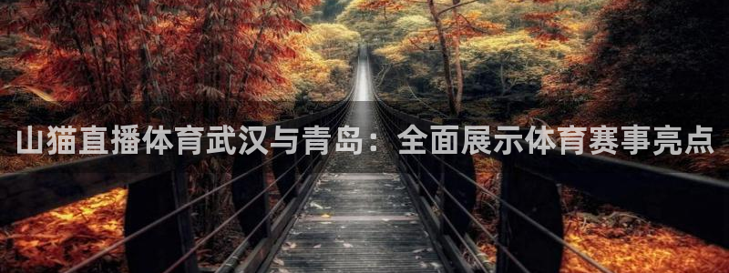 山猫直播体育武汉与青岛：全面展示体育赛事亮点