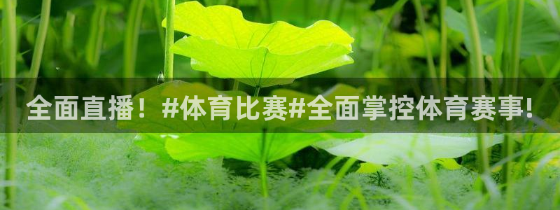 全面直播！#体育比赛#全面掌控体育赛事!