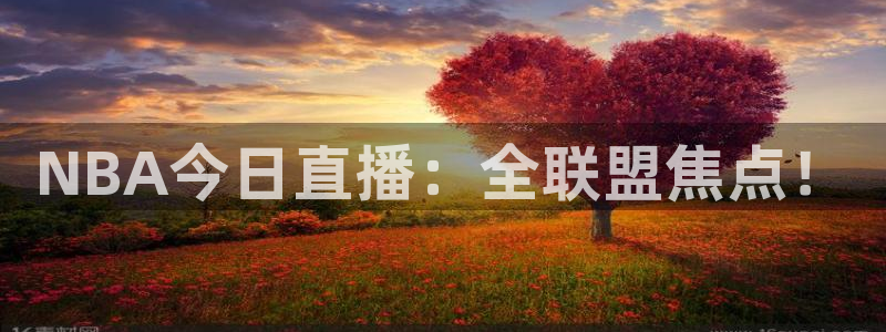 NBA今日直播：全联盟焦点！