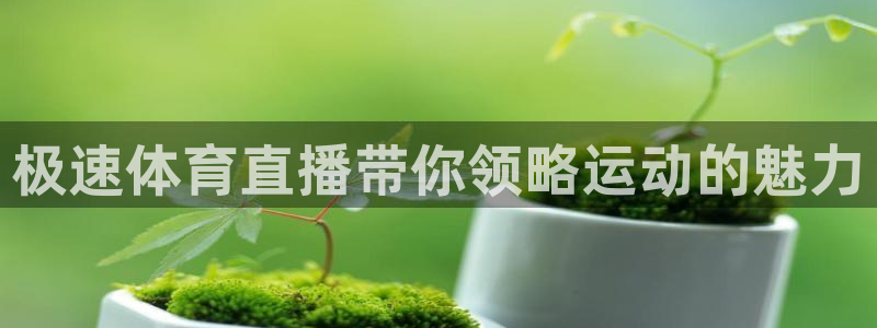 极速体育直播带你领略运动的魅力