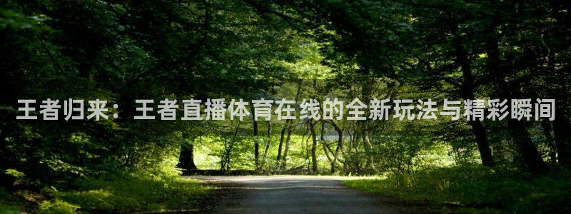 王者归来：王者直播体育在线的全新玩法与精彩瞬间