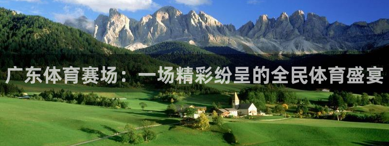 广东体育赛场：一场精彩纷呈的全民体育盛宴