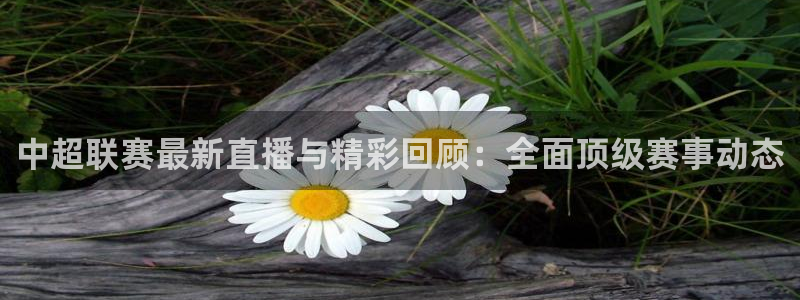 中超联赛最新直播与精彩回顾：全面顶级赛事动态